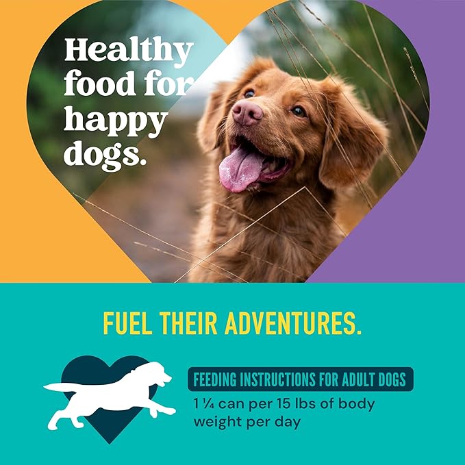 A Strong Heart Wet Dog Food, Ribeye Cuts in Gravy, Made with Real Beef, Made in The USA, 13.2 oz Can (Pack of 12)