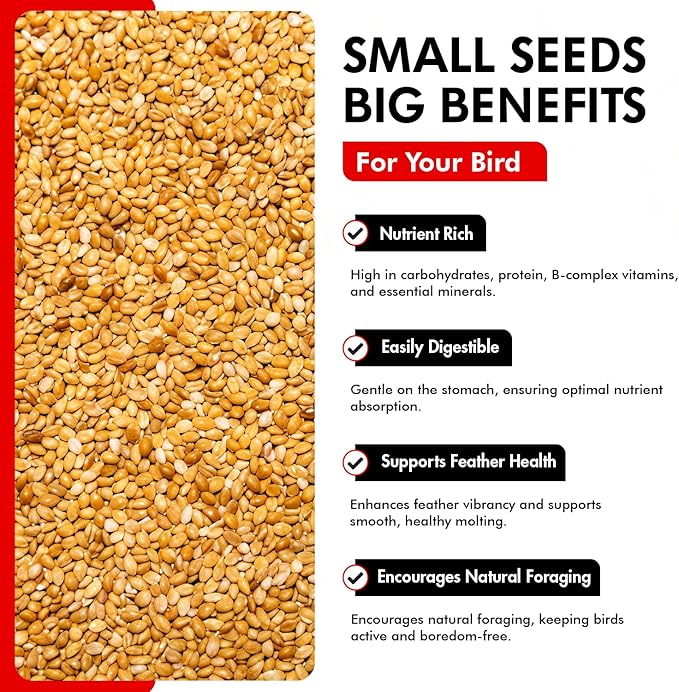 Morning Bird Golden German Millet 18 lbs (2-Pack, 9 lbs Each) – Natural Millet Seed for Birds – Natural Protein & Fiber Source – Easy-to-Digest Daily Nutrition for All Bird Types