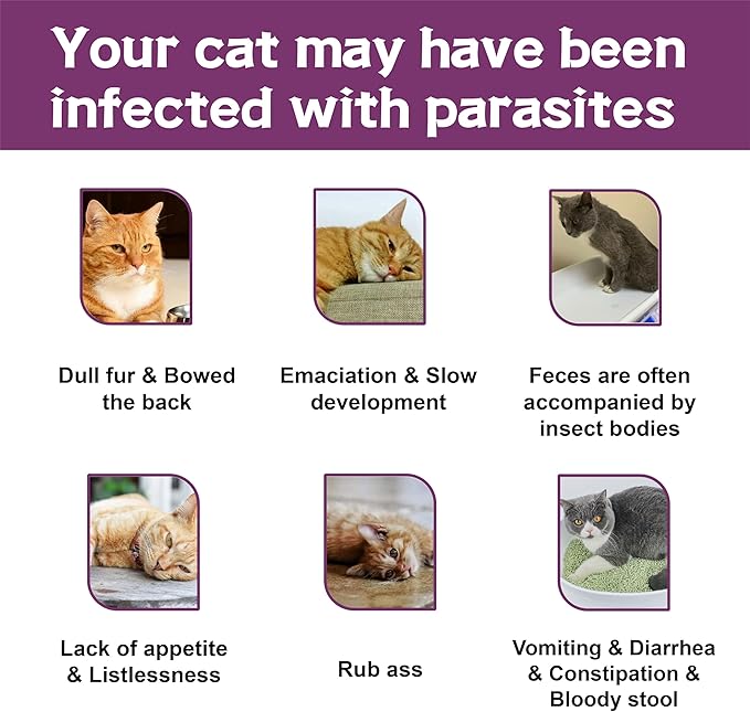 Flea and Tick Prevention for Cats, Flea and Tick Treatment for Cat Kitten, Flea & Tick Control, Over 1.5 Pounds, 6 Doses