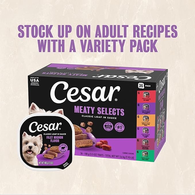 Cesar Classic Loaf in Sauce Adult Wet Dog Food Filet Mignon, 3.5 oz. Easy Peel Trays, 24 Count (Pack of 1)