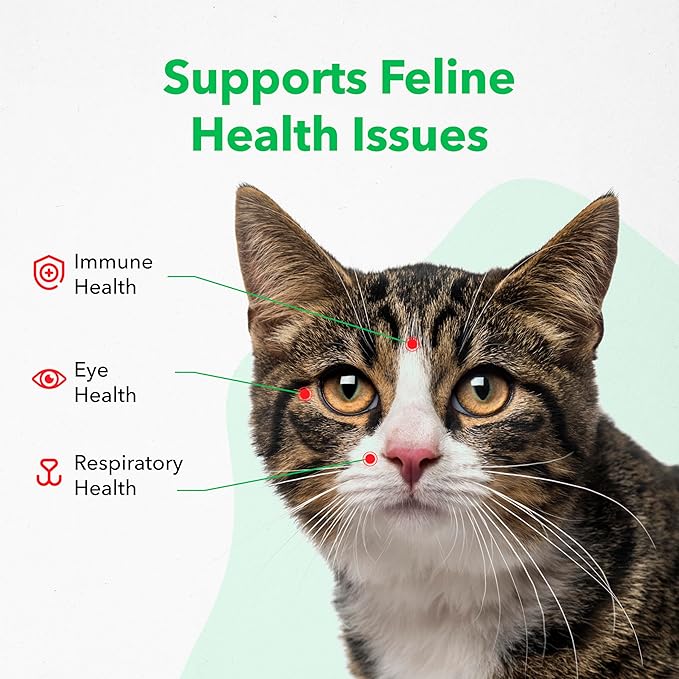 Vetoquinol Viralys - Lysine Supplement for Cats & Kittens - Supports Eye Wellness, Respiratory Health & Immune Strength - Flavored Oral Powder for Easy Feeding & Daily Use - 600 Grams