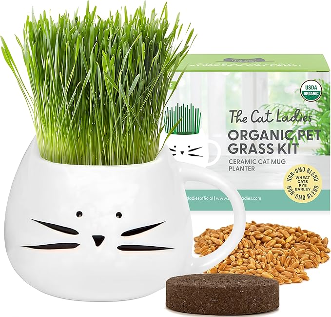 The Cat Ladies Organic Cat Grass for Indoor Cats - Growing Kit with Organic Seed Mix, Soil and White Cat Planter. Natural Hairball Control and Digestion Remedy, Cat Gifts