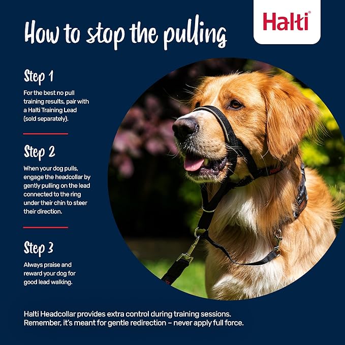 Halti Headcollar - Stop Your Dog Pulling on The Leash. Adjustable, Reflective and Lightweight, with Padded Nose Band. Dog Training Anti-Pull Collar for Large Dogs (Size 4, Burnt Orange)