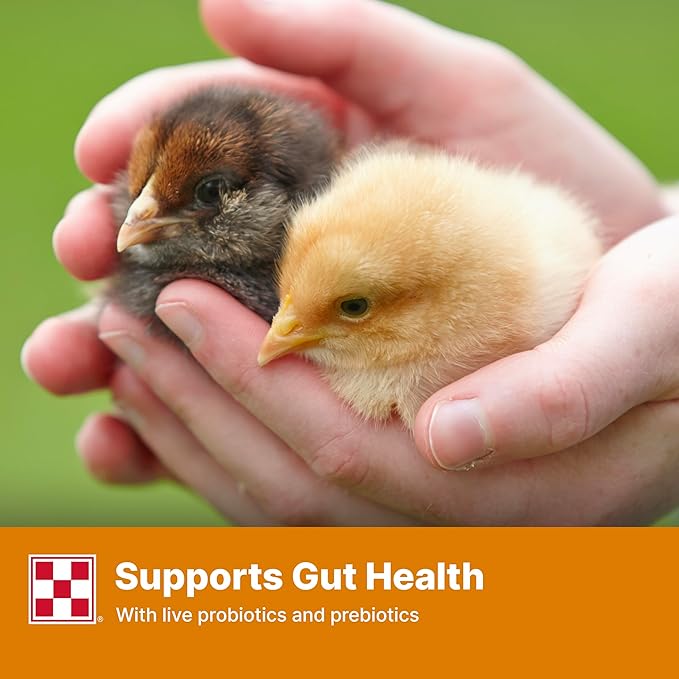 Purina Start and Grow | Non-Medicated Chick Feed Crumbles | Nutritionally Complete - 5 Pound (5 lb) Bag