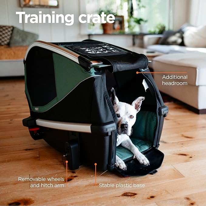 Thule Bexey pet Bike Trailer - Carrier for Small & Large Sized Dogs - Foldable Design - Easy to Connect to Bike - Padded Interior - Converts into Travel Crate - Durable Materials