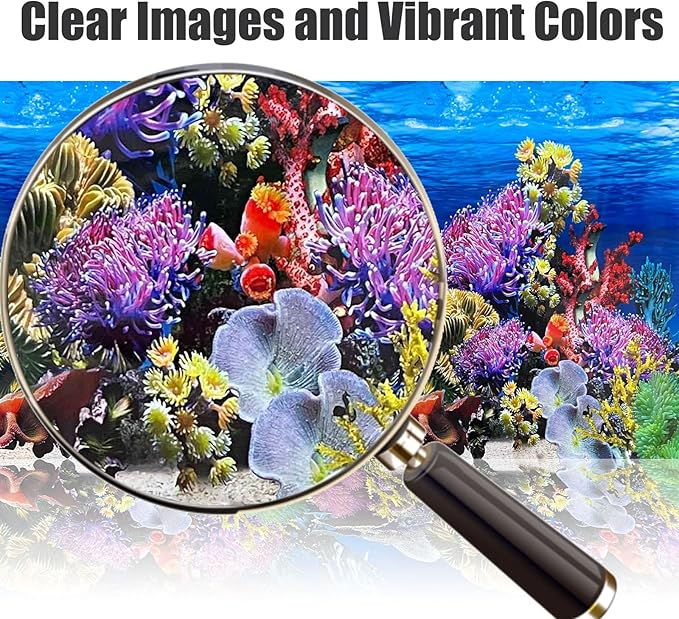 Fish Backgrounds Paper Double Sides Undersea Aquarium Background Poster Colorful Sea Anemone Fish Tank Background Sticker Decorations 12"x 25"