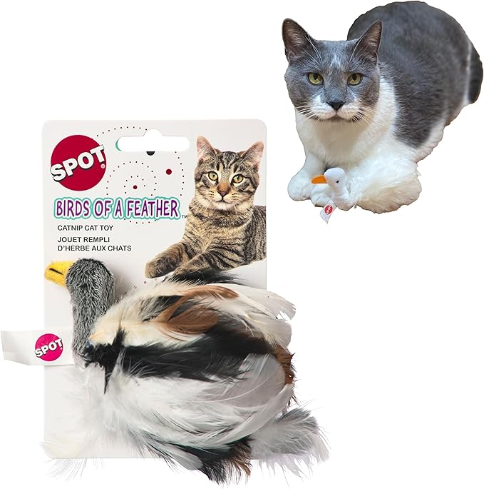 SPOT Birds of a Feather Catnip Toy for Cats – Interactive Plush Toy for Swatting, Pouncing, and Chasing – 6in, Assorted Styles