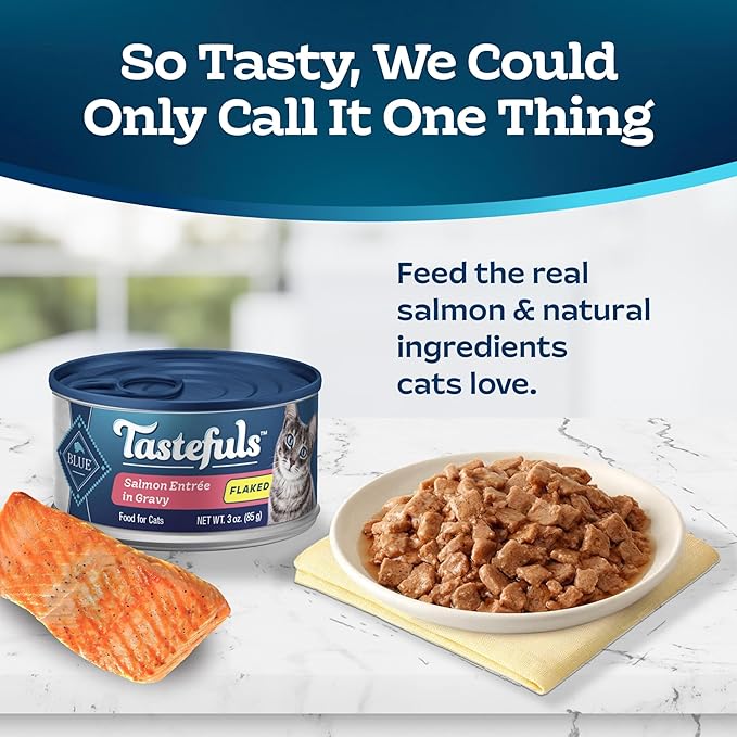 Blue Buffalo Tastefuls Flaked Wet Cat Food, Made with Natural Ingredients, Salmon, 3-oz Cans (24 Count)