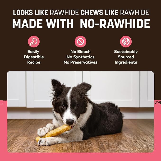 Earth Animal No Hide Chews - Long Lasting Rawhide Free Medium Dog Chews Rolls, Salmon - 2 Count
