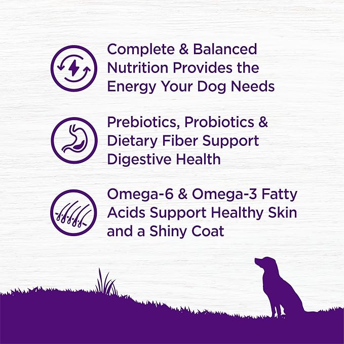 Wellness Complete Health Adult Dry Dog Food, Wholesome Grain Kibble, Natural, Chicken and Oatmeal Recipe, 15 lb Bag