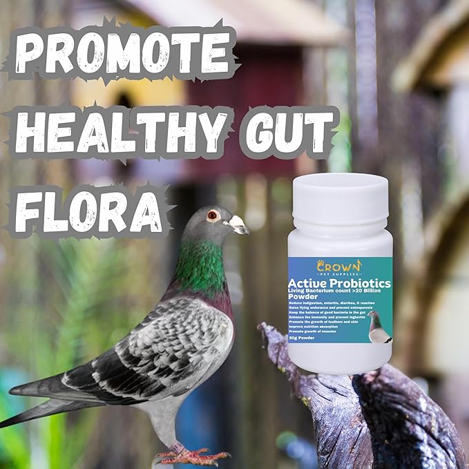 Probiotic Powder for Pigeons – 20 Billion CFU with Beneficial Bacteria – Supports Gut Health, Digestive Balance, Nutrient Absorption, Endurance & Feather Growth 50g