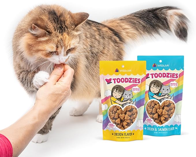 Weruva BFF Toodzies, Salmon Crunchy Cat Treats, 2oz Bag