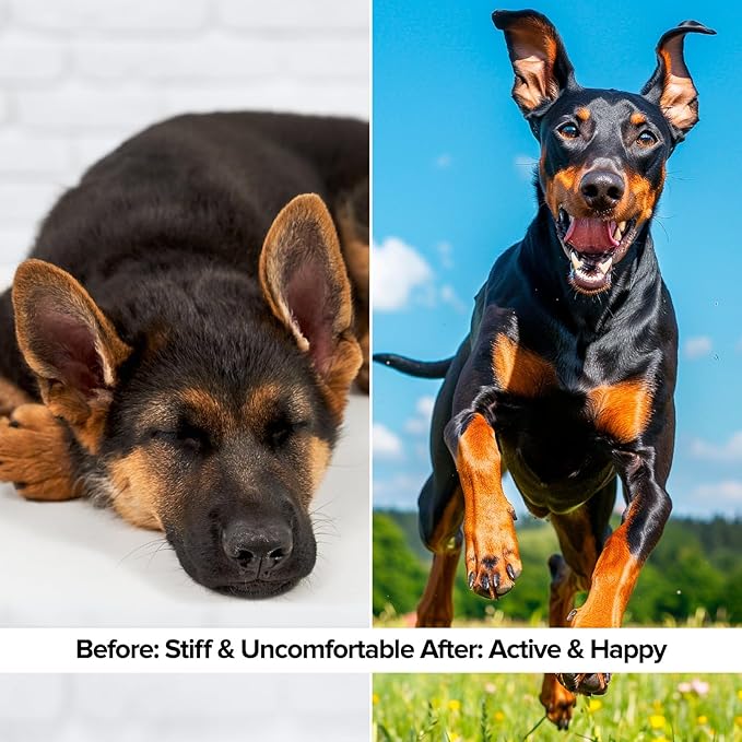 Dog Hip and Joint Supplement Soft Chews – Supports Mobility, Flexibility & Cartilage Health – Helps Relieve Joint Stiffness & Arthritis – Daily Joint Support for Dogs of All Breeds