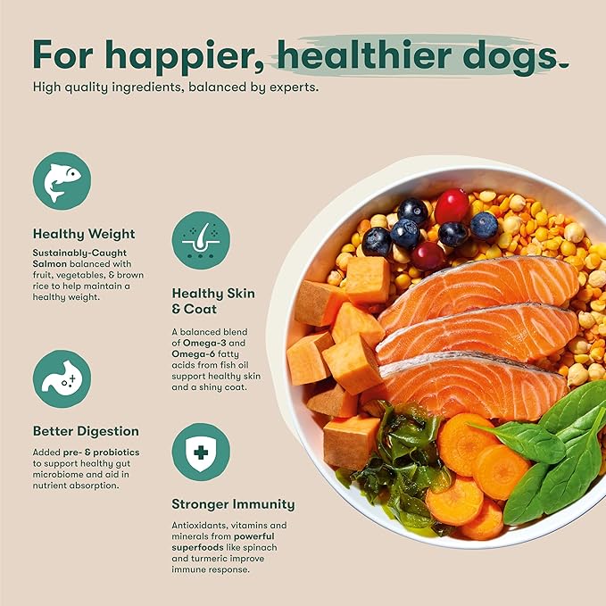 Jinx Premium Dry Dog Food Small Breed - Real Salmon & Sweet Potato Kibble with Superfoods for Immune Support & Probiotics for Digestive Support - No Fillers – 4lb