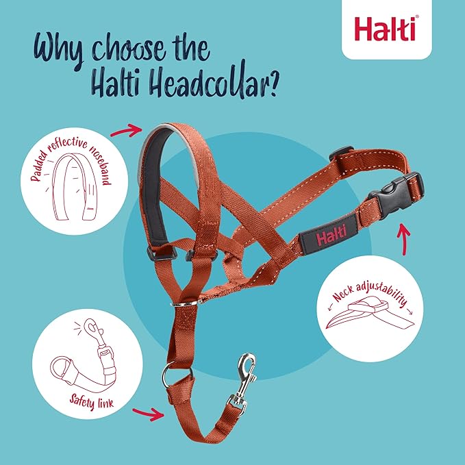 Halti Headcollar - Stop Your Dog Pulling on The Leash. Adjustable, Reflective and Lightweight, with Padded Nose Band. Dog Training Anti-Pull Collar for Small Dogs (Size 1, Burnt Orange)