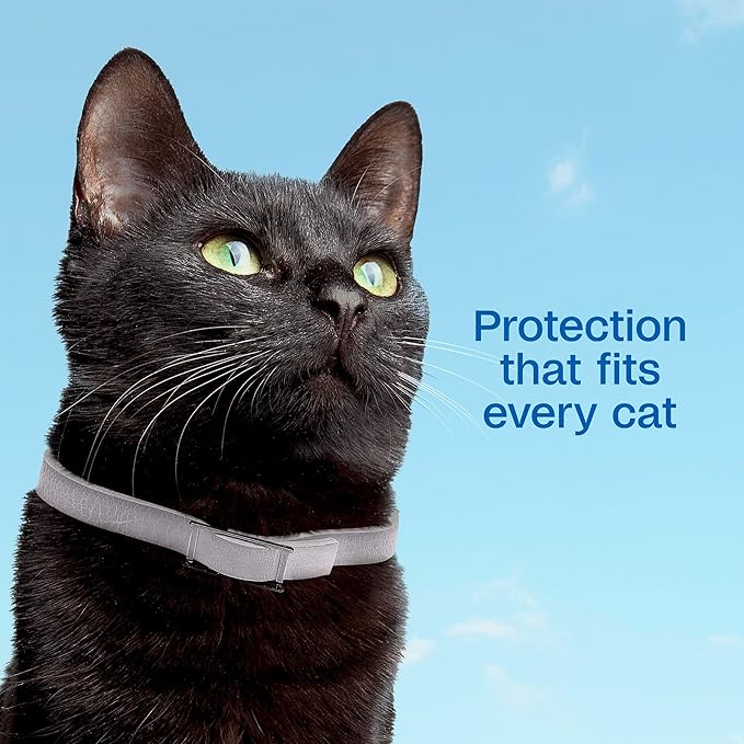 ADAMS Plus Flea & Tick Collar for Cats, Flea Collar for 7-Month Prevention, Adjustable Collar Fits Cats & Kittens, Kills Fleas & Ticks, 1 Count