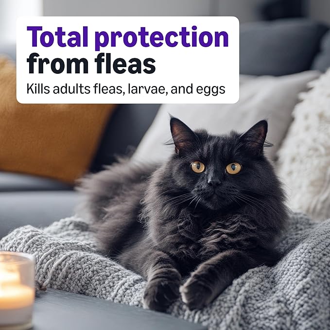 Amazon Basics Topical Flea Treatment for Large Cats (Over 9 pounds), 6 Count, Packaging May Vary