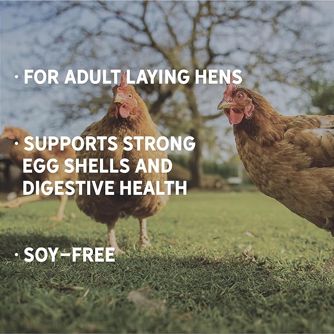 New Country Organics | Classic Grind Layer Chicken Feed for Laying Hens | Ground Grain | Soy-Free | 17% Protein | Certified Organic & Non-GMO Chicken Food | 50lbs Bag