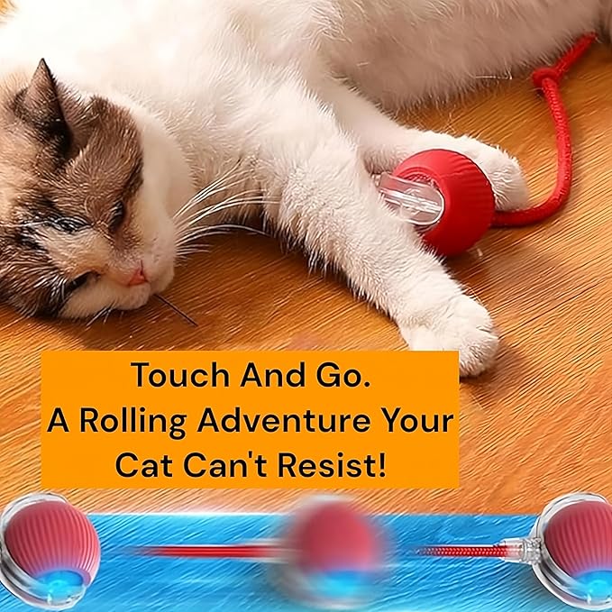 Interactive Electric Automatic Rolling Moving Rechargeable Self Play Stimulation Toy,Smart Pet Chase with Speedy Tail Rope for Bored Indoor Cats (Blue)