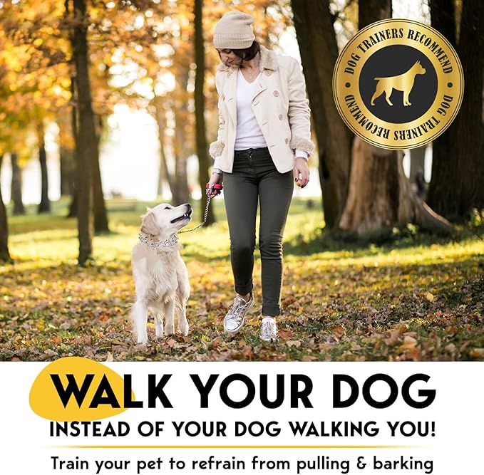 PetJett Prong Collar for Dogs Training Collar Adjustable Choke Collar Quick Release Pinch Collar for Small Medium Large Dogs No Pull Dog Collars Walking Tool - Stainless Steel Metal Choker Chain