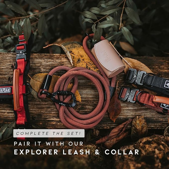MADE TO ROAM Premium Explorer Harness - Y-Shaped Dog Harness with Adjustable Durable Nylon, Soft Padding, Metal Buckles and Leather Handle for Small, Medium, Large Dogs (Texas Flair, Size 2)