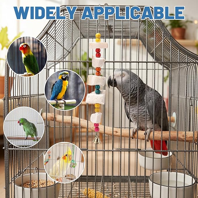 CZFSWT 2Pcs Cuttlebone for Birds, Cuddle Bones for Birds, Cuttlebone for Birds Parakeets Suitable for Beak Trimming and Health Maintenance