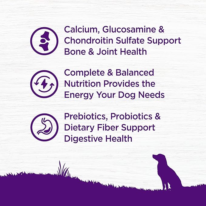 Wellness Complete Health Age Advantage Senior Dry Dog Food, Wholesome Grain Kibble, Natural, Chicken and Barley Recipe, 5 lb Bag