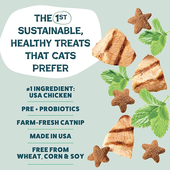 Shameless Pets Digestive Health Catnip Chicken Crunchy Cat Treats (Pack of 2)