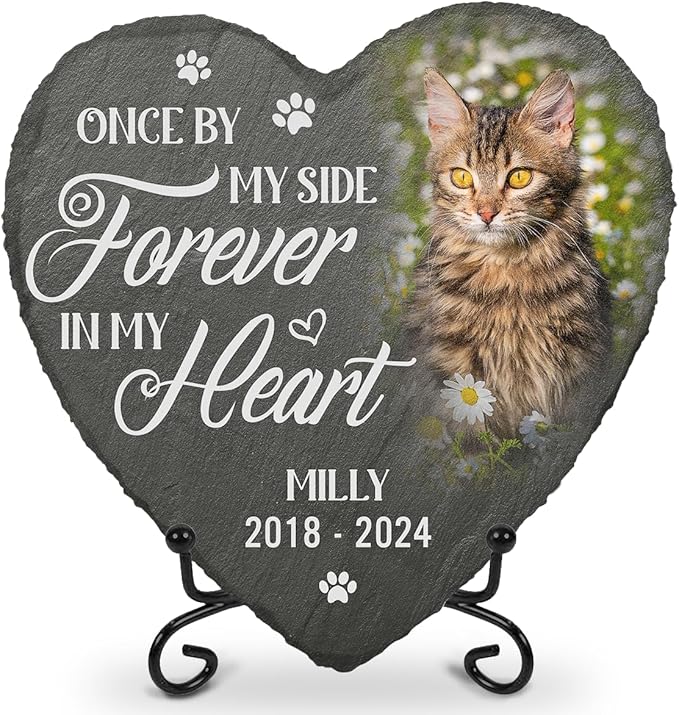 DOPTIKA Custom Photo You Would Have Lived Forever Personalized Photo Cat Memorial Gifts for Loss of Cat, Cemetery Decorations for Grave, Cat Sympathy Gifts, Cat Garden Decor, Pet Memorial for Cats