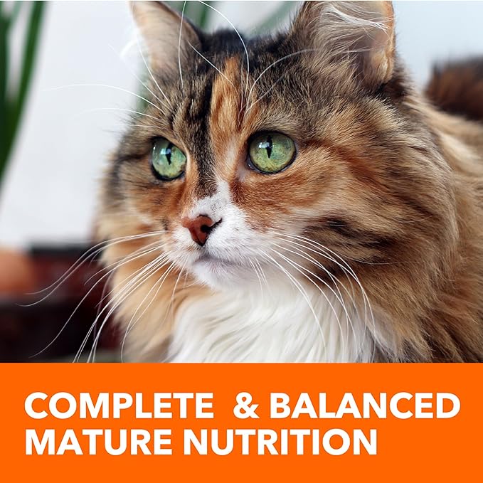 IAMS Proactive Health Senior Dry Cat Food, Cat Food Dry Chicken Recipe, Real Chicken in Every Bite, 3.5 Lb. Bag