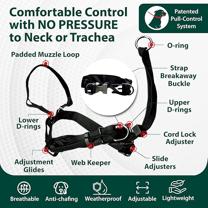 SPORN Head Dog Halter, Black, Large