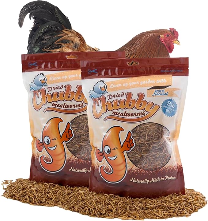 Chubby Dried Mealworms | 4 lbs | High-Protein Non-GMO Treats for Chickens, Ducks, Wild Birds & Backyard Pets