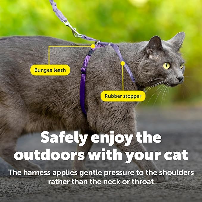 PetSafe Come With Me Kitty Cat Harness & Bungee Leash - Comfortable Cat Harness with Lightweight Bungee Leash for Outdoor Fun - More Secure Walks - Medium - Lilac