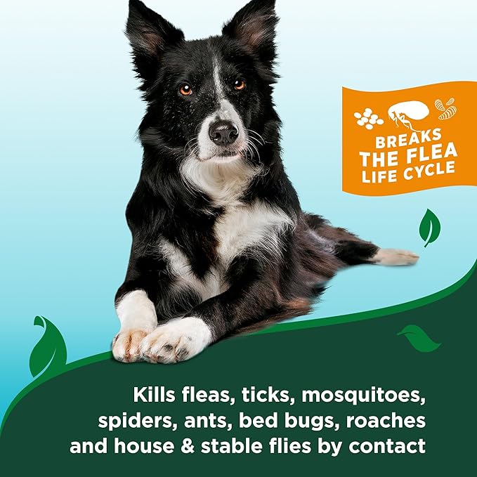 Vet's Best Natural Flea and Tick Easy Spray for Dogs – Cotton Spice Scent – Natural Flea & Tick Prevention – Kills Pests on Contact – Plant-Based Formula – Made in USA – 14 oz