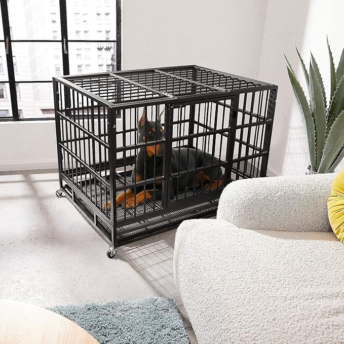Oranland 48 Inch Heavy Duty Dog Crate Cage with Wheels, High Anxiety Indestructible, Sturdy Locks Design, Double Door and Removable Tray, Extra Large XL XXL