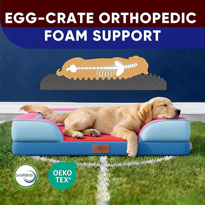 Comfort Expression Orthopedic Dog Bed for Extra Large Dogs 42x30 Inch, Waterproof Egg Crate Foam XL Pet Bed with Removable Bolsters, Dog Couch with Washable Cover & Non-Slip Bottom, Atlanta
