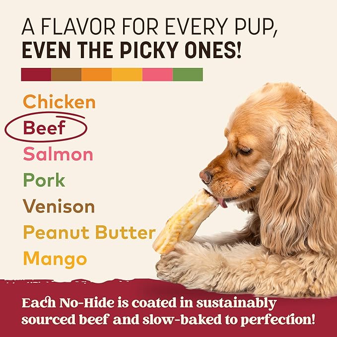 Earth Animal No Hide Chews - Long Lasting Rawhide Free Small Dog Chews Rolls, Beef - 6 Count