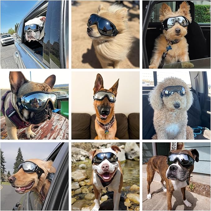 LESYPET Dog Goggles Medium Large Breed, UV Wind Dust Protection Medium Dog Sunglasses Eye Protection, Eye Wear Pet Glasses with Adjustable Strap for Outdoor Riding, Black