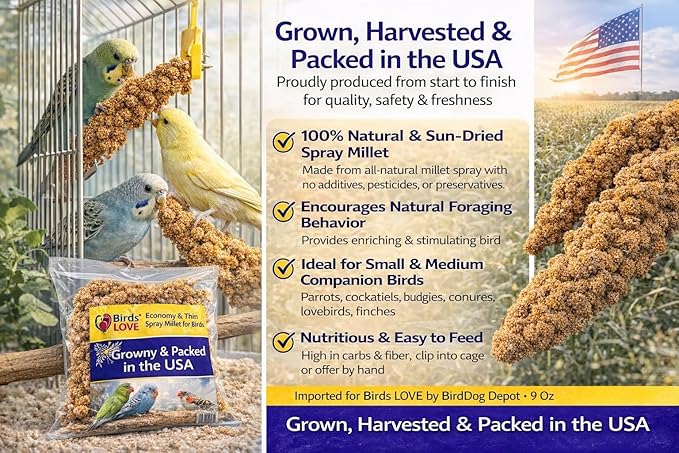 Farm to Feathers™ Bird Economy Millet & Cuttlebone Bundle – USA Grown Millet Sprays for Parakeets, Budgies, Cockatiels, Finches & Canaries – 9oz (Pack of 1) + 4” Cuttlebone (4 Pack)
