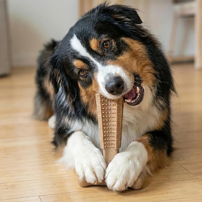 SPOT Bam-Bones Plus T-Bone, Bamboo Fiber & Nylon Dog Chew, Durable for Aggressive Chewers, Non-Splintering, for Adult Dogs & Teething Puppies Under 60lbs, 6in, Chicken Flavor