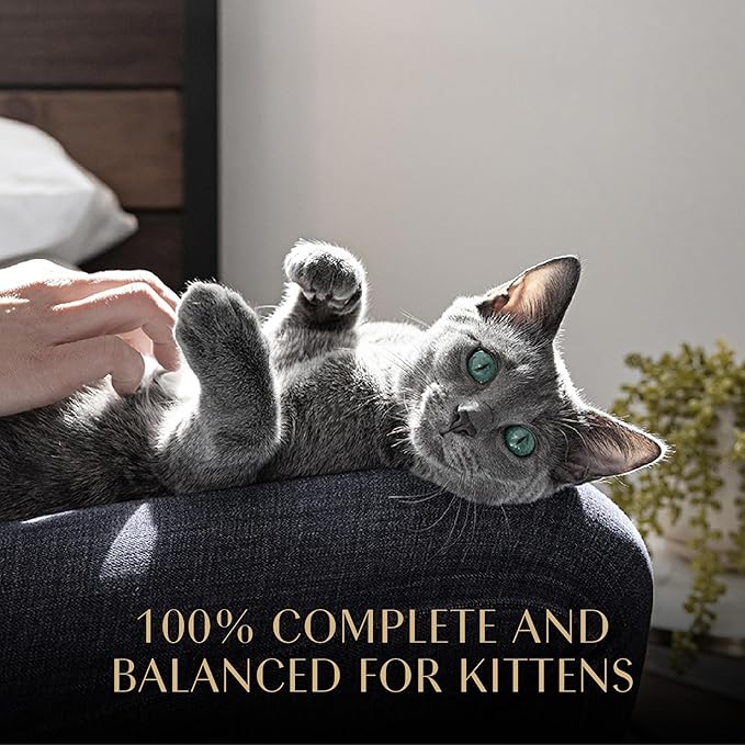 Sheba Perfect Portions Kitten Wet Food,Pate Cat Food Wet Entree,Salmon Recipe,2.6 oz. Twin-Pack Trays (,48 Servings),24 Count (Pack of 2)