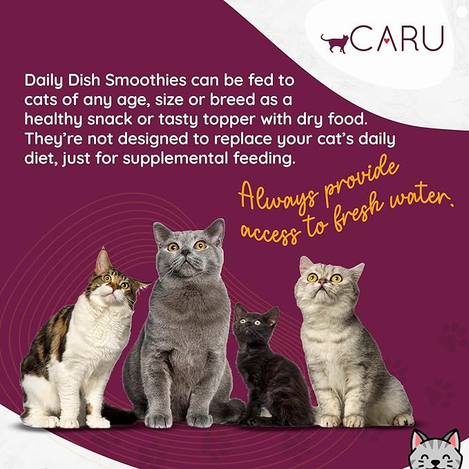 Caru - Daily Dish Smoothies - Lickable Chicken & Salmon Cat Treat - 4 Pouches per Pack - Pack of 6