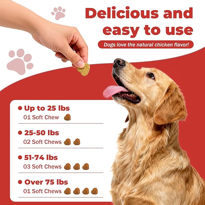 Dog Lumps and Bumps Supplement, Lipoma Treatment for Dogs - Immune Support Chews with Turkey Tail Mushroom, Reishi, Shiitake, Maitake, Curcumin & CoQ10 - Veterinarian formulated - 150 Chews