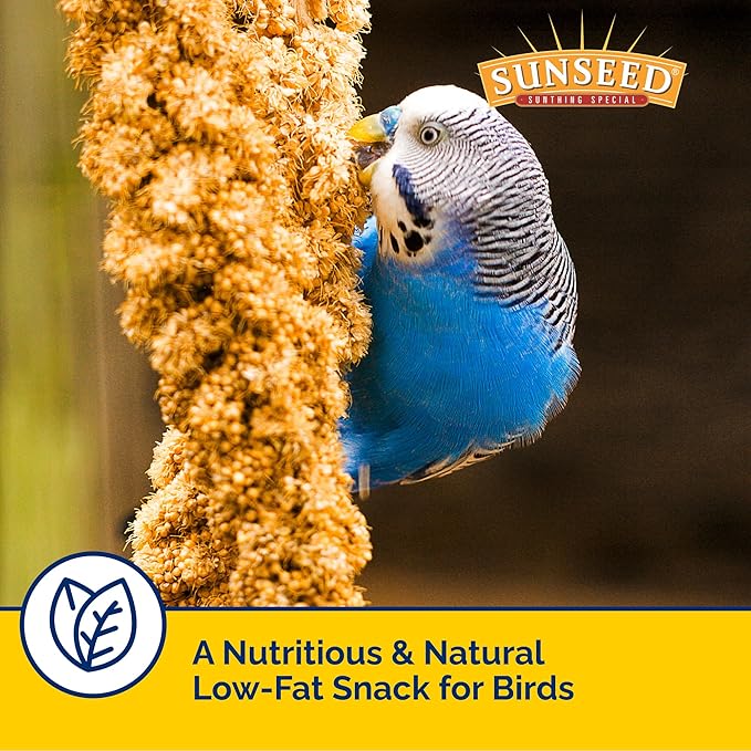 Sunseed Golden Spray Millet Treat for Birds, 12 oz