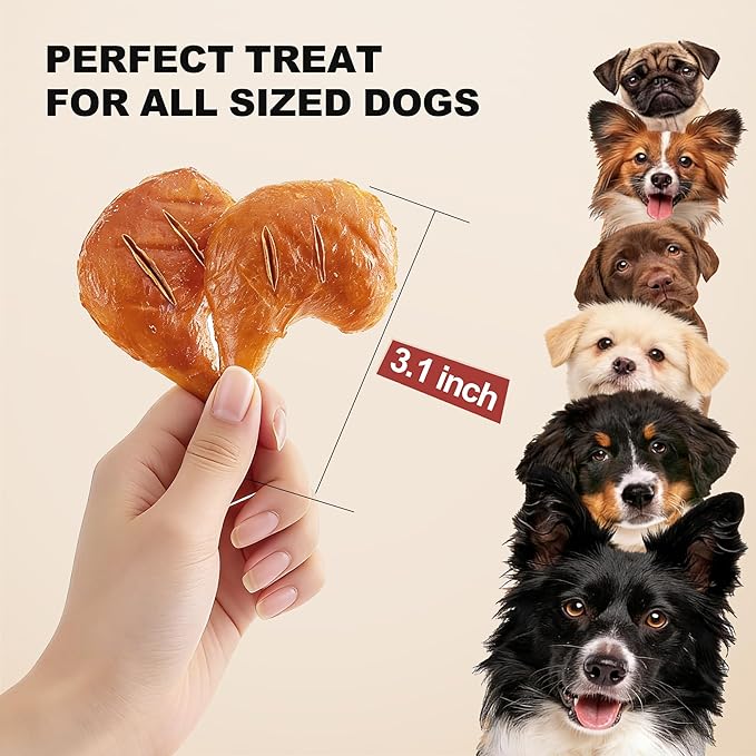 PETPHABET Rawhide Free Dog Chew Bones - Grilled Chicken Leg Dog Chews for Small Medium Breeds, Healthy Puppy Treats for Training & Teething, Made with Real Chicken, Natural Smoky Flavor, 11 Count