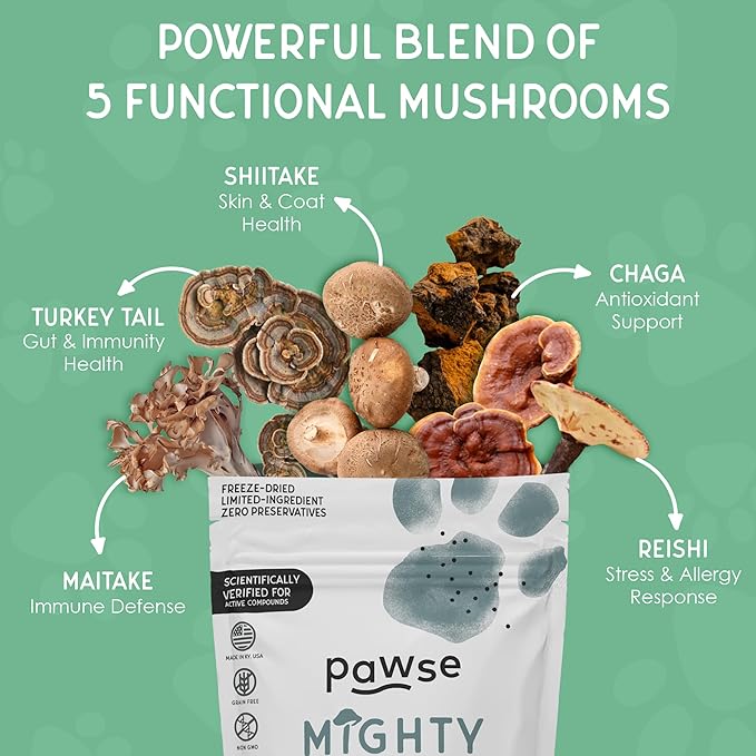 Mighty Mushroom Chews Supplement for Dogs & Cats | Blend of Turkey Tail, Reishi, Chaga, Maitake & Shiitake | for Immune System, Lumps & Bumps, Gut Health & Skin Support | 60 Chews