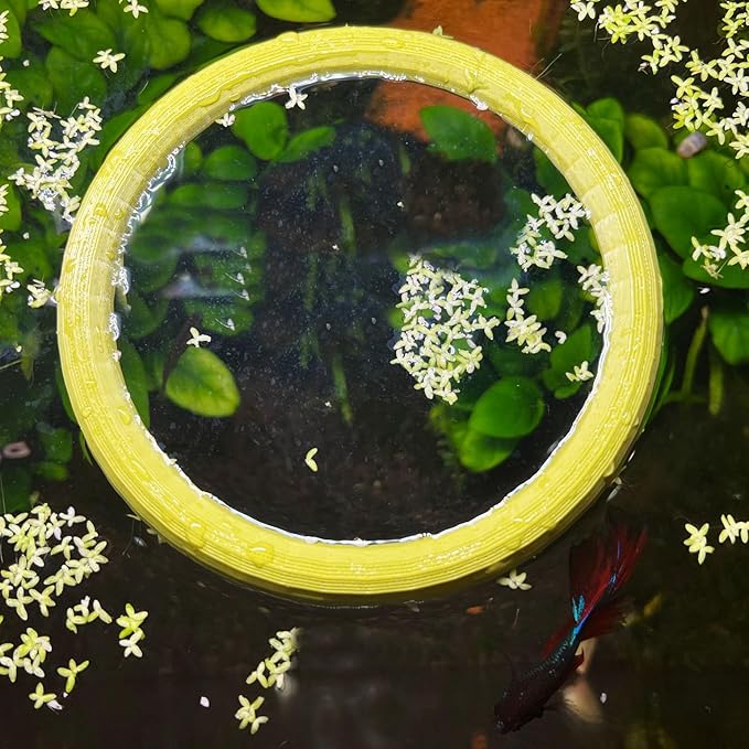 Aquarium Floating Duckweed Organizer. Set of 3 Floating Rings - 3in, 4in and 5 in. Floating Fish Feeding Ring. Aquarium Fish Tank Decor. Aquarium Starter Kit.