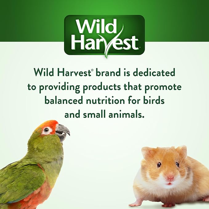 Wild Harvest Treat Stick with Tough Core for Small and Medium Birds, 1 oz Count, 100% Edible Interactive Treat and Toy Made with Rawhide Prepared Especially for Birds