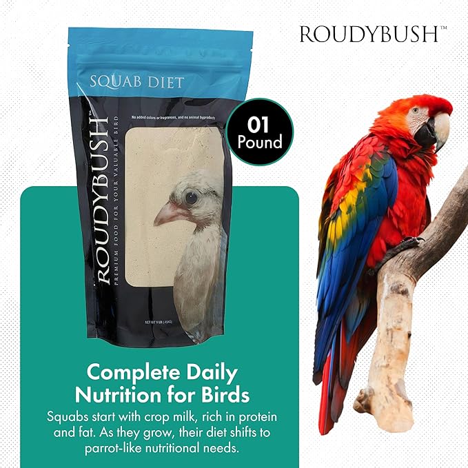 RoudyBush Squab Diet Dove & Pigeon Feed - Baby Bird Food for Columbiformes - Crop Milk Replacement Dove & Pigeon Food Mix - Chick Enrichment for Birds 7-14 Days (1lb)