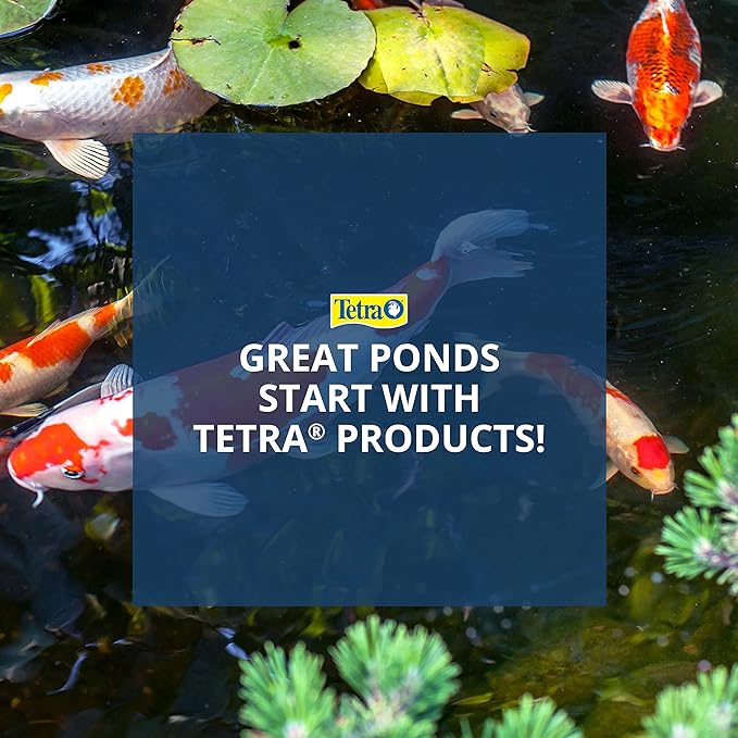 Tetra Pond Sticks, Fish Food, for Goldfish and Koi, 3.53 Ounces | Pack of 2 | Healthy Nutrition